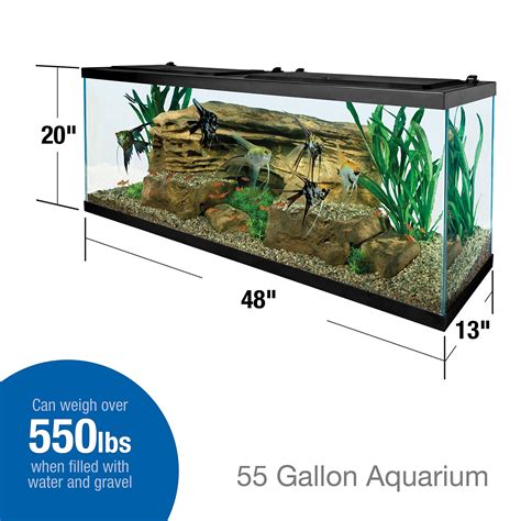 What Are the Dimensions of a 50 Gallon Aquarium and Tips for .